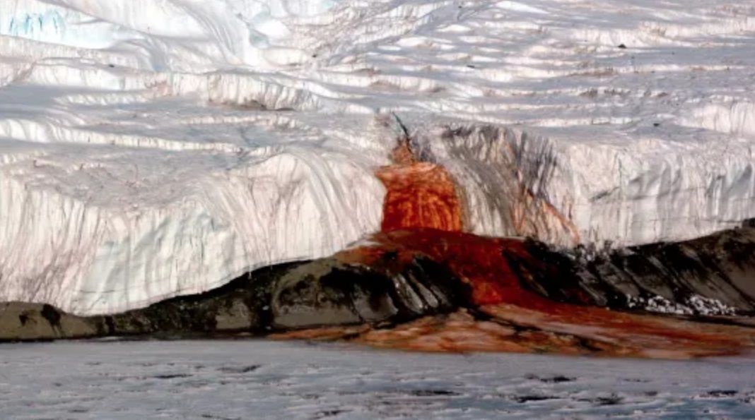 Estudo revela como as “cachoeiras de sangue” freiam geleira na Antártica
