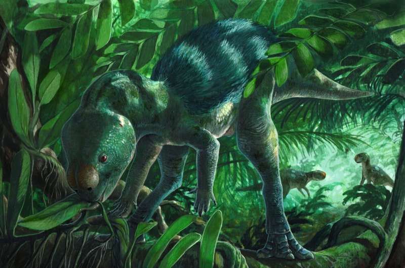 Fóssil de minidinossauro na Espanha reescreve evolução dos herbívoros