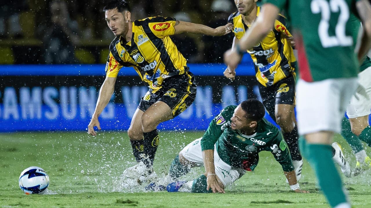 Palmeiras bate Novorizontino sob chuva e é campeão paulista