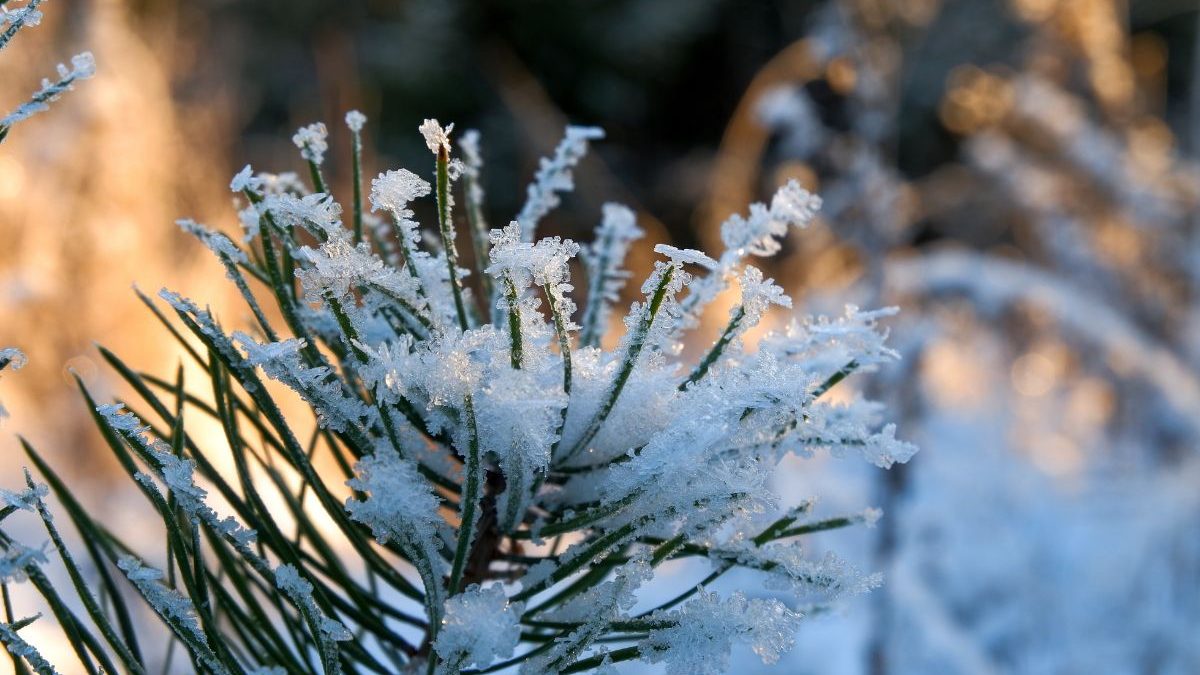 Inmet emite alerta de geada para 79 municípios do Sul do país