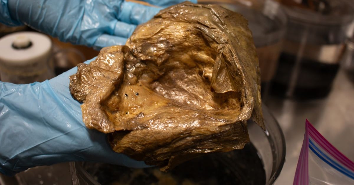 Mistério da esfera dourada no Alasca é solucionado após 3 anos