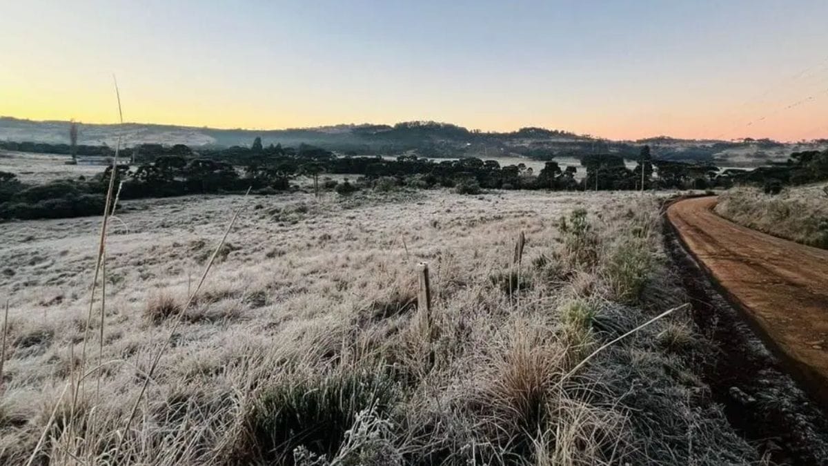 Frio intenso e geada colocam Santa Catarina em alerta até terça