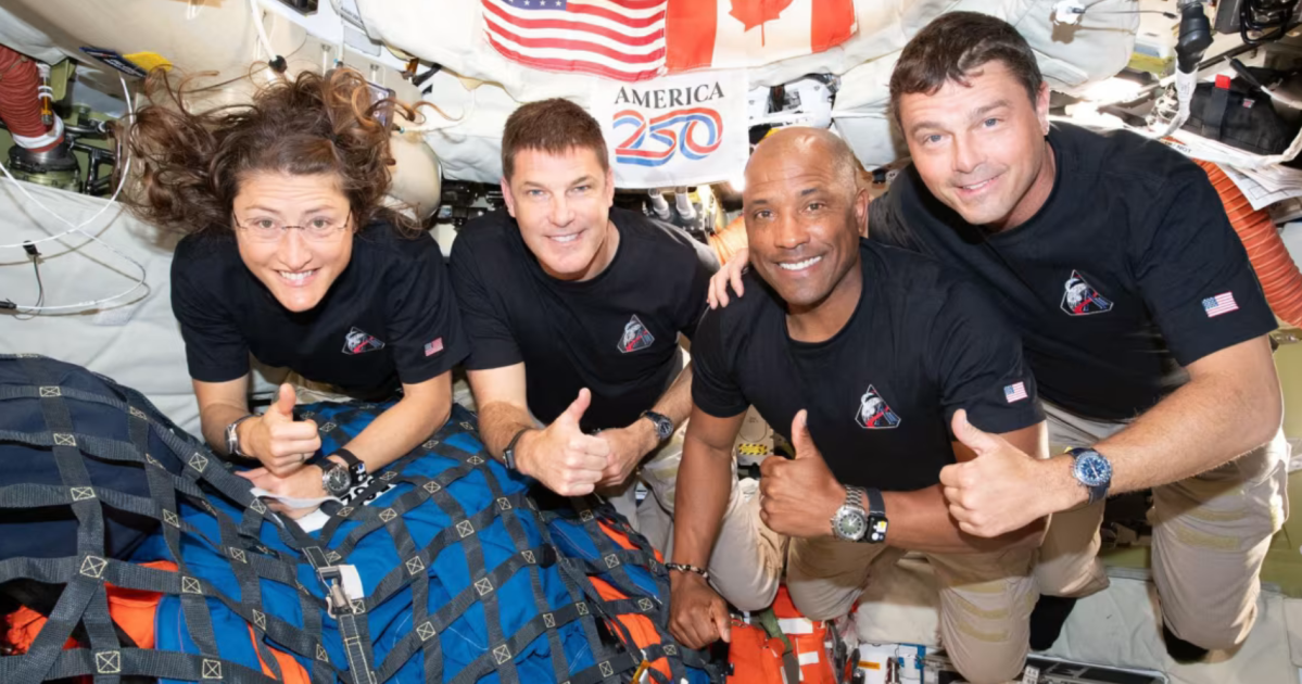 Chips de medula óssea viajam na Orion para prever saúde de astronautas