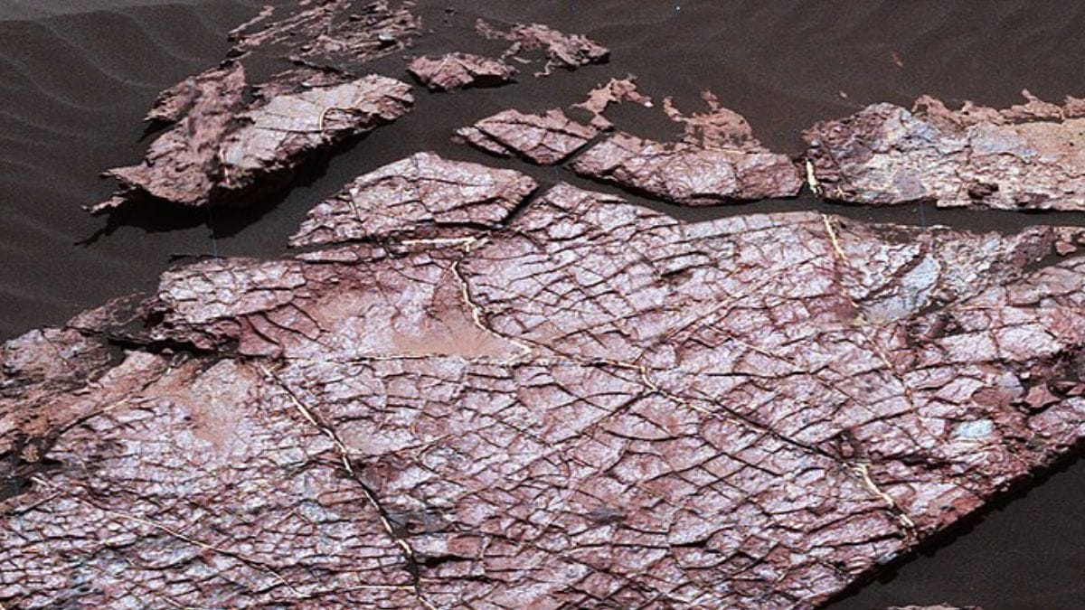 Curiosity registra “escamas de dragão” em cratera de Marte