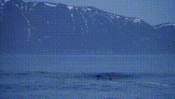 Surfistas desafiam ondas a -20°C no Ártico da Noruega