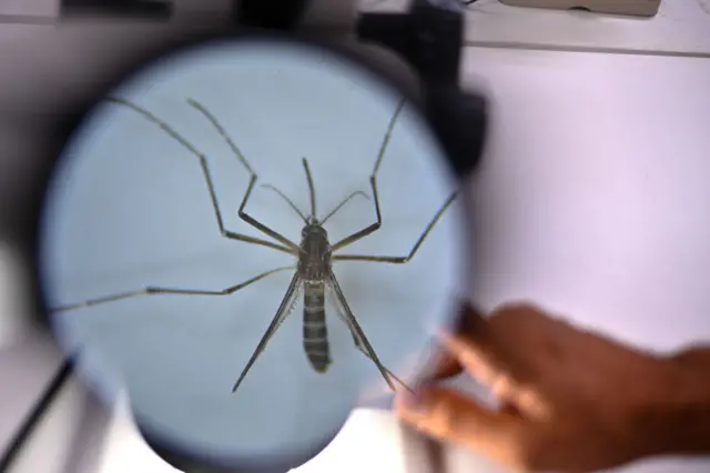 Governo suspende vacina da dengue do Butantan após 42 reações graves