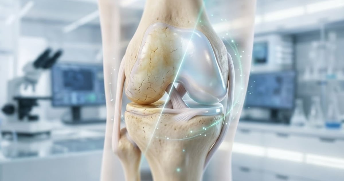 Tratamento experimental regenera cartilagem e barra osteoartrite