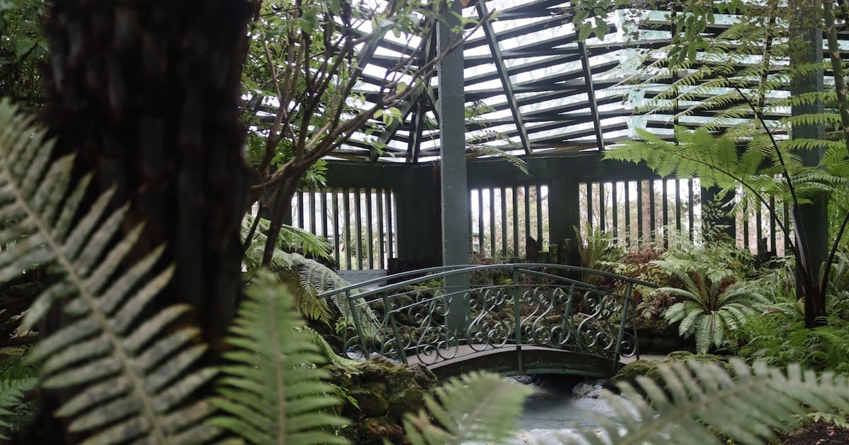 Jardim de samambaias fecha após série de defecações em parque na Nova Zelândia