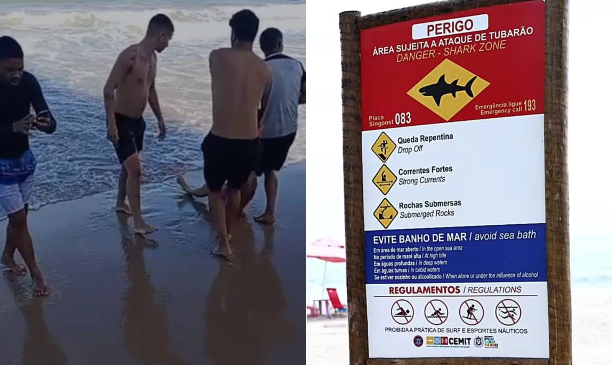 Jovem de 19 anos perde perna em novo ataque de tubarão no Recife