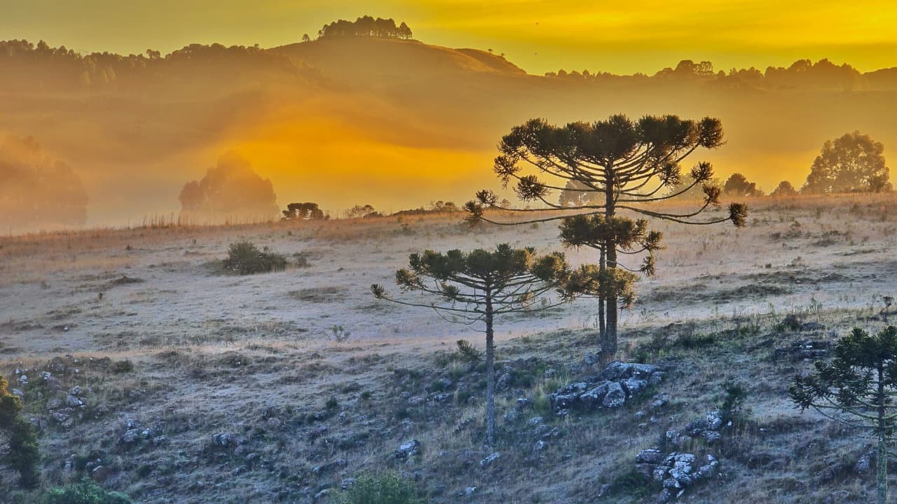 Primeira onda de frio intenso do inverno atinge Sul e Sudeste