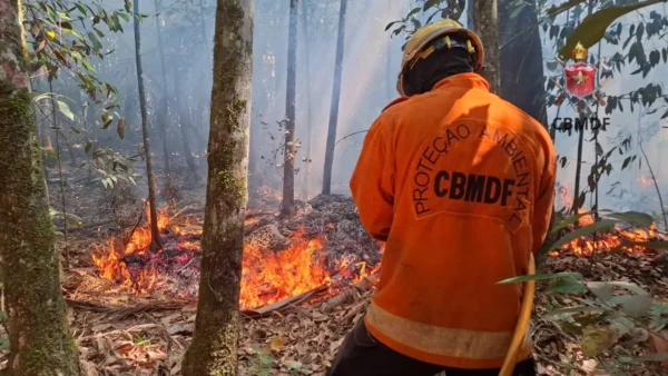 Projeto prevê multas de até R$50 mil por queimadas irregulares no DF