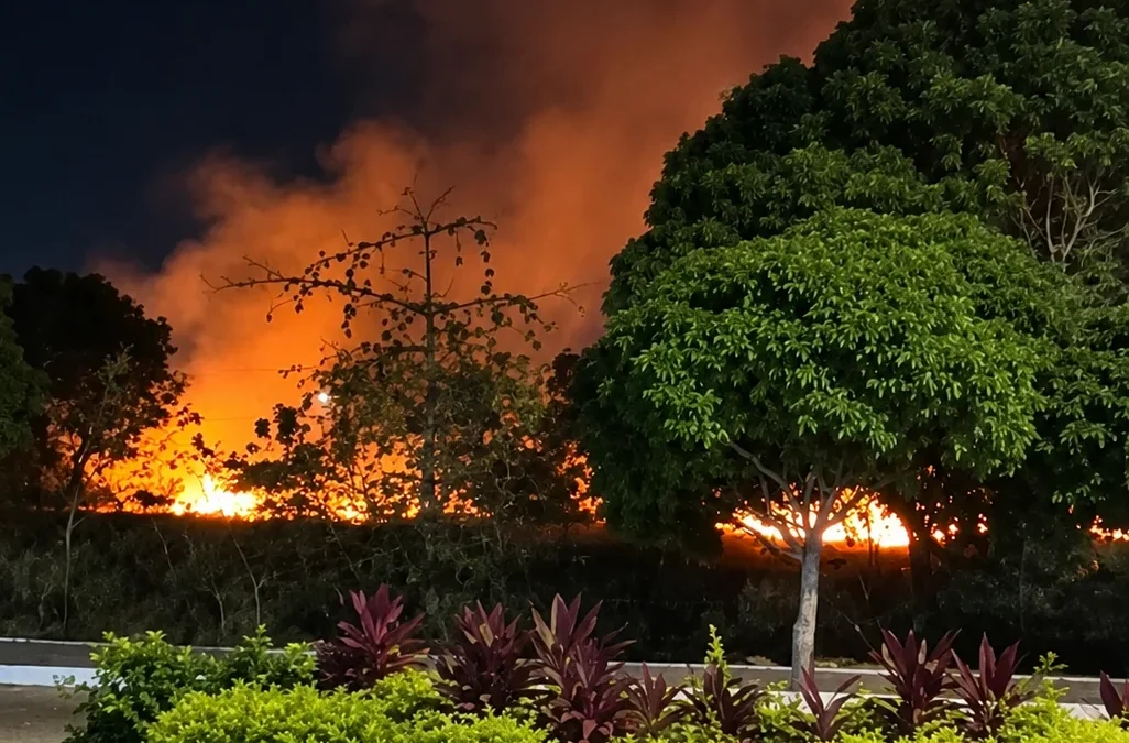 Incêndio atinge área verde da UFRN e novos focos são relatados em Natal