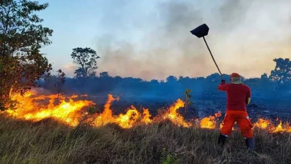Amapá ultrapassa mil focos de incêndio e BR-156 está entre áreas mais críticas