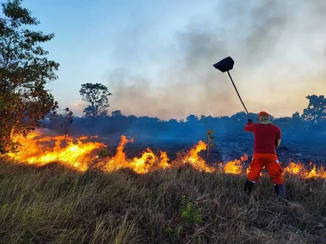 Amapá ultrapassa mil focos de incêndio e BR-156 está entre áreas mais críticas