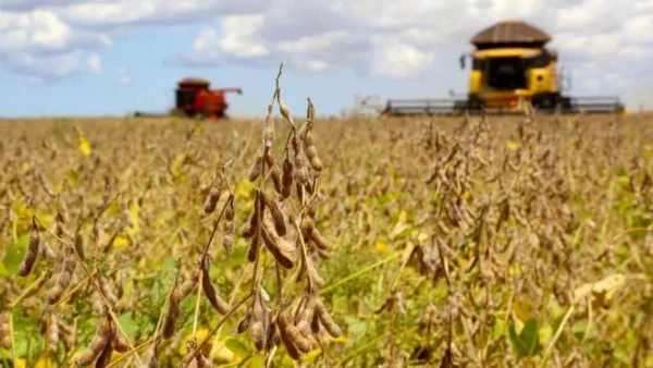 Dez desafios do agronegócio que o próximo presidente terá de enfrentar em 2027