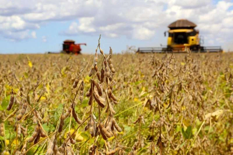 Dez desafios do agronegócio que o próximo presidente terá de enfrentar em 2027