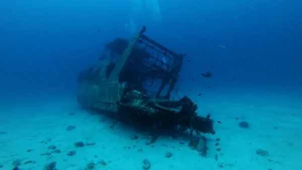 Bactérias são encontradas em combustível de navios afundados na Segunda Guerra