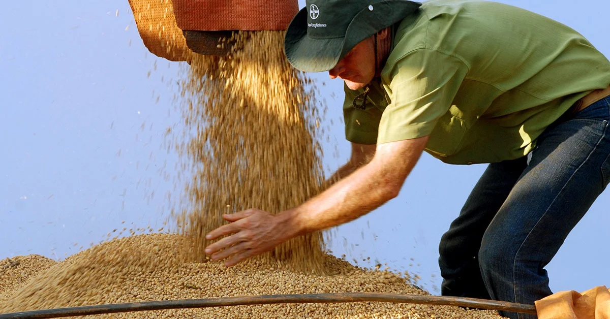 El Niño deve provocar perdas de R$ 33 bi na safra de soja no país