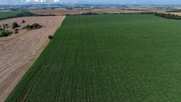 Demanda por fertilizantes pode cair até 16% no Brasil em 2026, aponta mercado