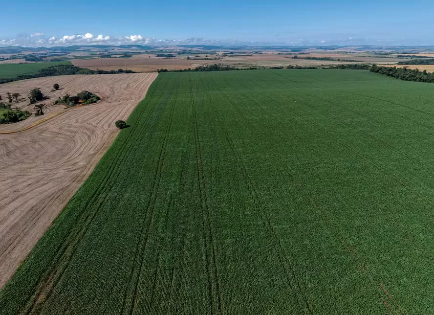 Demanda por fertilizantes pode cair até 16% no Brasil em 2026, aponta mercado